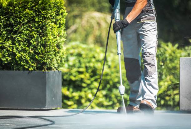 Best Fence Cleaning  in Cologne, NJ