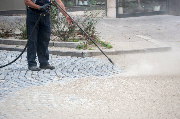 Best Warehouse Cleaning  in Cologne, NJ