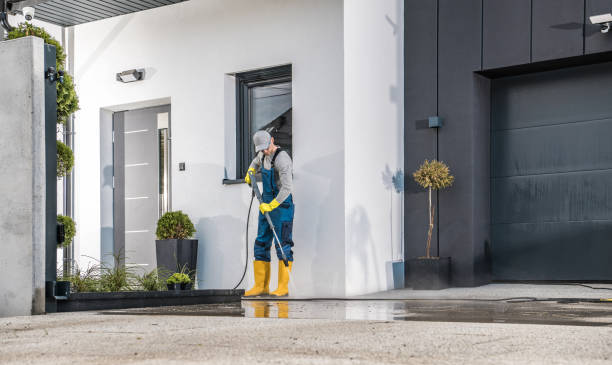Best Roof Washing  in Cologne, NJ